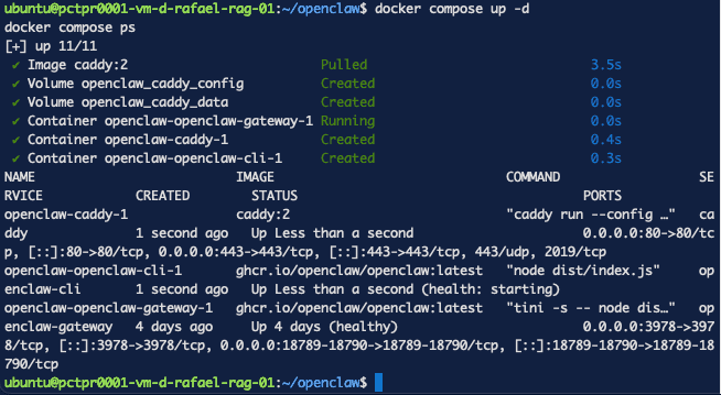 Caddy container up with 443 published