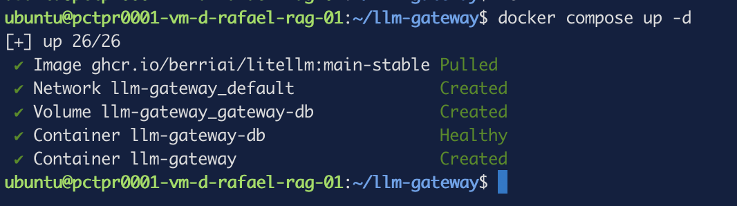 docker compose up pulling the image and creating both containers