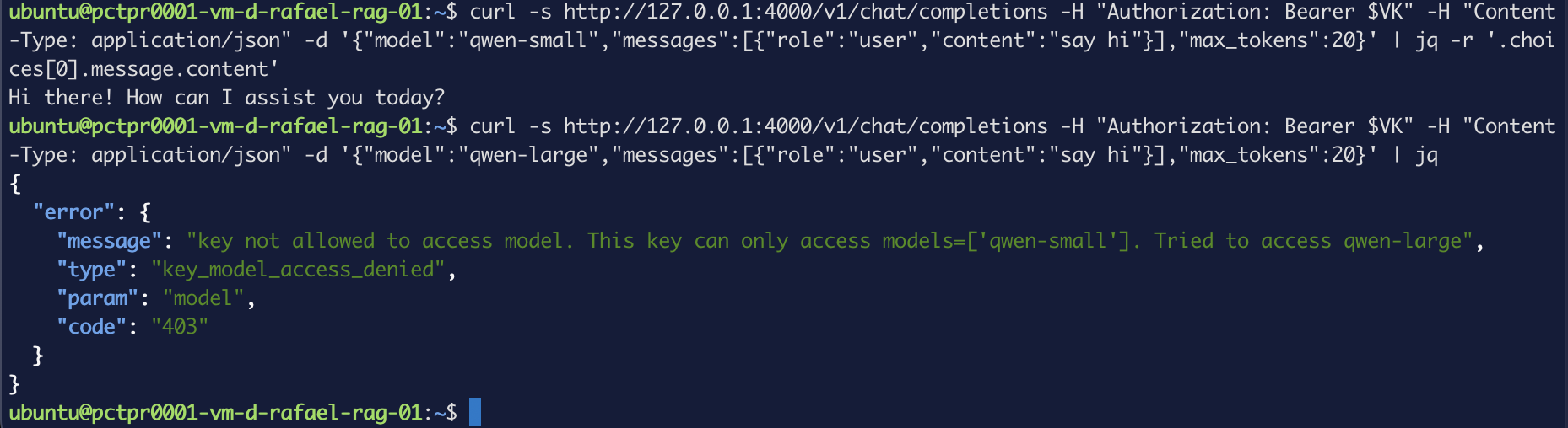 The same virtual key answering on qwen-small and being refused with a 403 on qwen-large