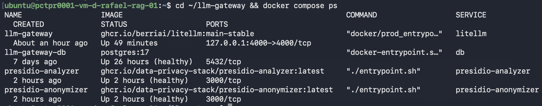 Four containers running, with both Presidio services showing 3000/tcp and no host port mapping
