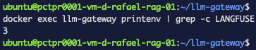 printenv inside the container now reporting three LANGFUSE variables