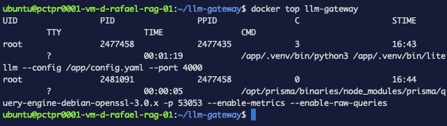 docker top showing one litellm python process and one Prisma query engine