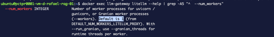The litellm help output with the phrase Default is 1 highlighted