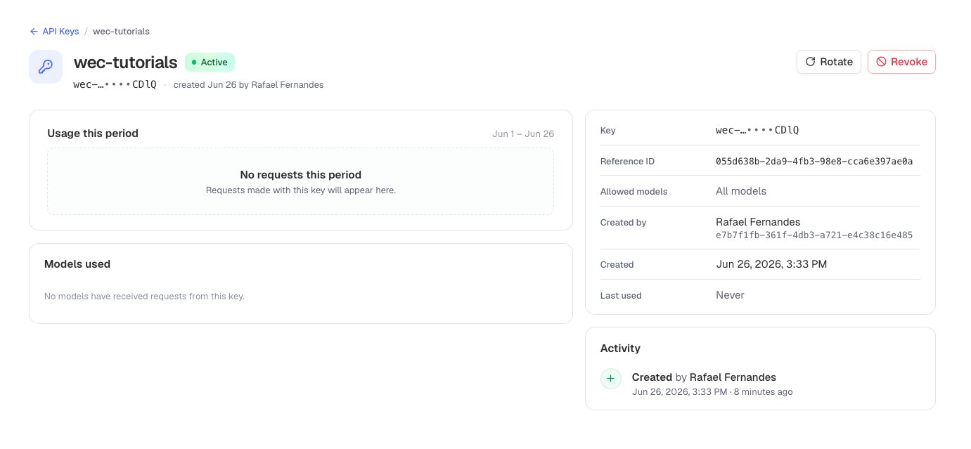 The key detail page — usage this period, models used, key metadata, and an activity log