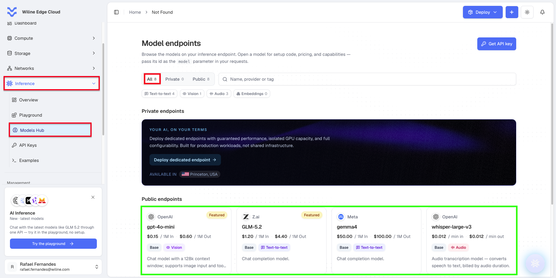 The Models Hub showing the All/Private/Public tabs, search and tag filters, the private-endpoints banner, and the public model cards