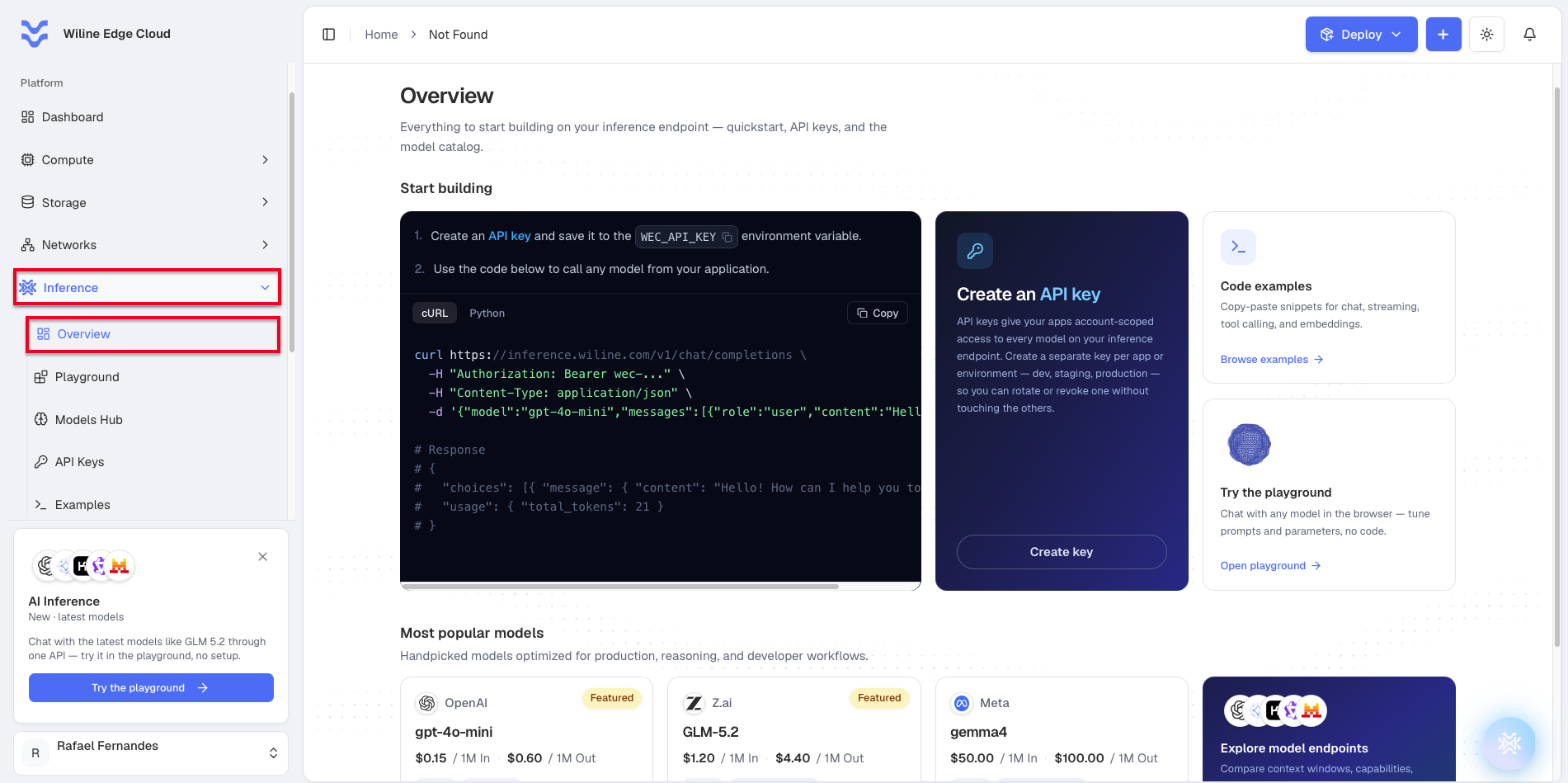 The Inference Overview page in the portal