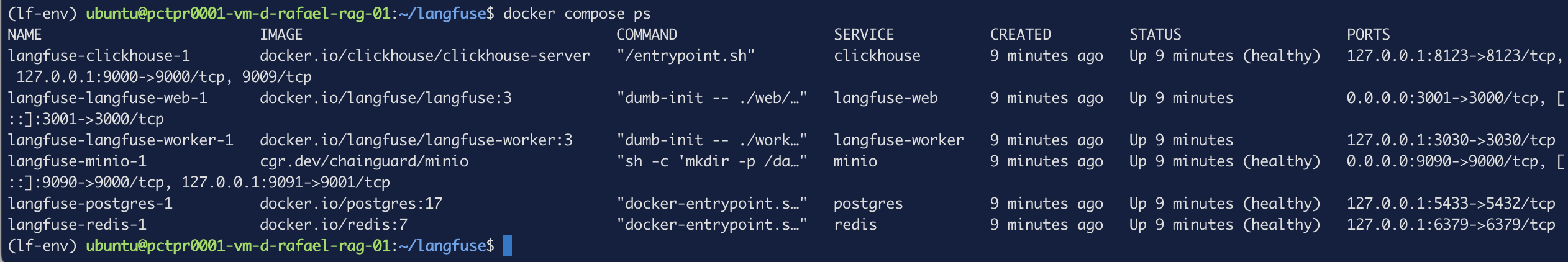 The Langfuse stack up — six services healthy