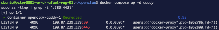 ss after the change — Caddy now listening only on the mesh IP 100.87.239.229, no longer on 0.0.0.0