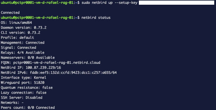 netbird status on the VM — Management & Signal Connected, mesh IP 100.87.239.229, Peers count 0/0