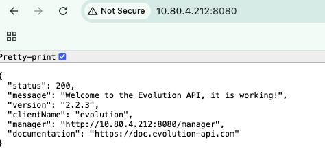 The Evolution API answering in a browser while UFW denies all incoming traffic