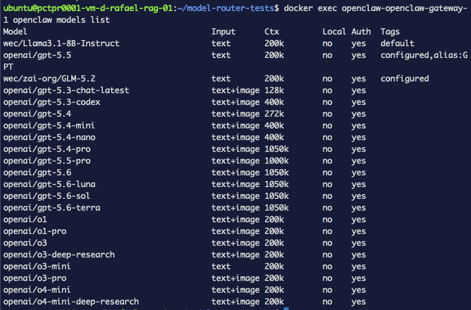Terminal showing openclaw models list with wec/Llama3.1-8B-Instruct configured and set as default