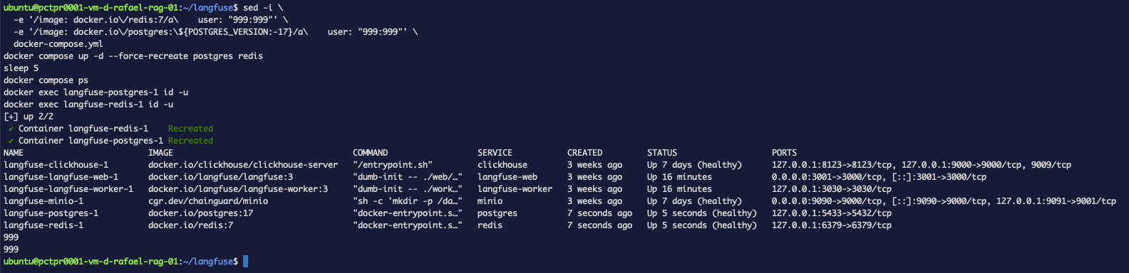 docker compose ps showing both containers healthy, and id -u now returning 999