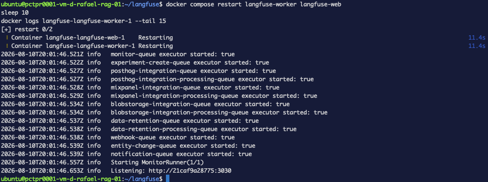 langfuse-worker's logs after restart, showing every queue executor starting cleanly