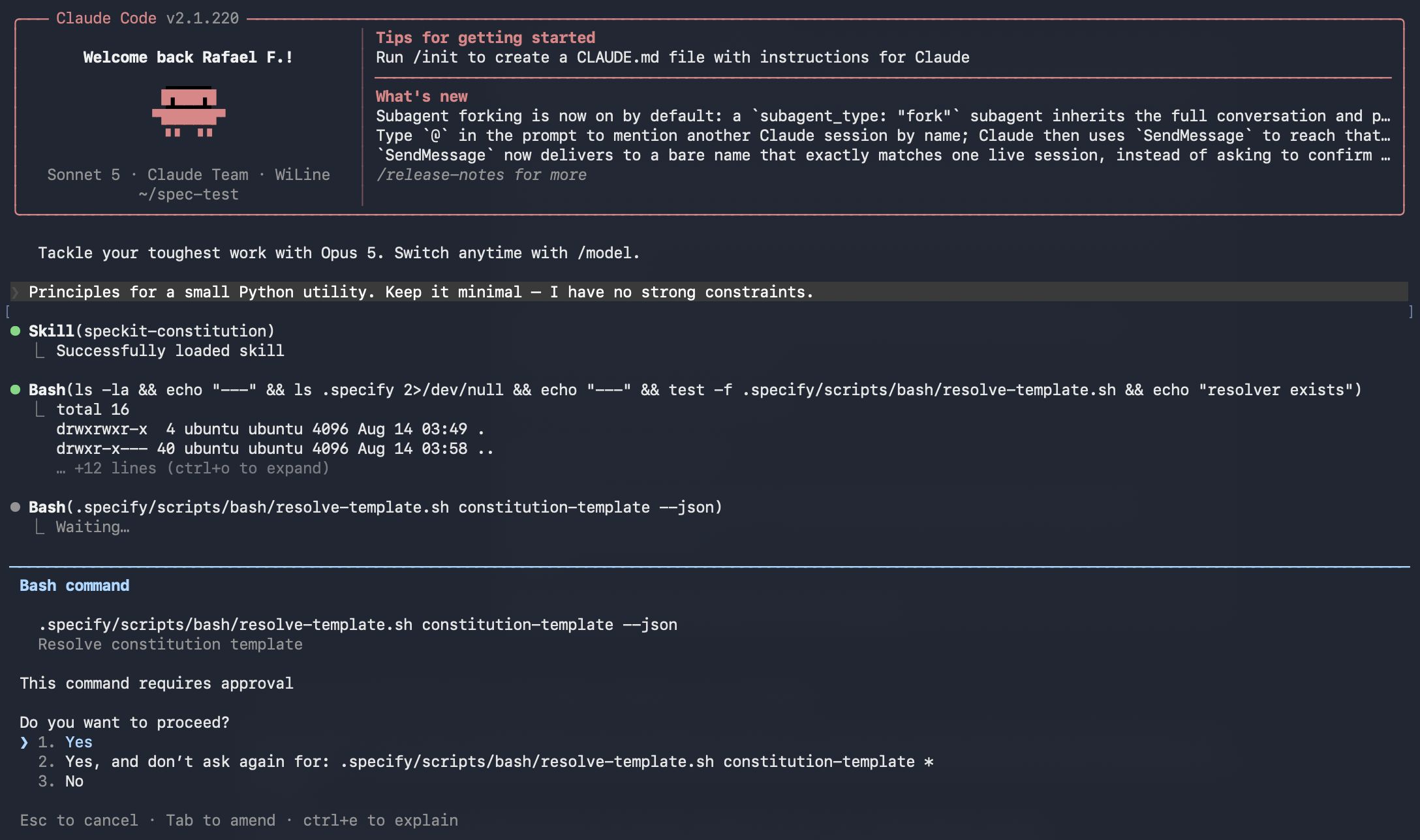 The Spec Kit constitution phase running in a terminal, generating principles from a one-line prompt.