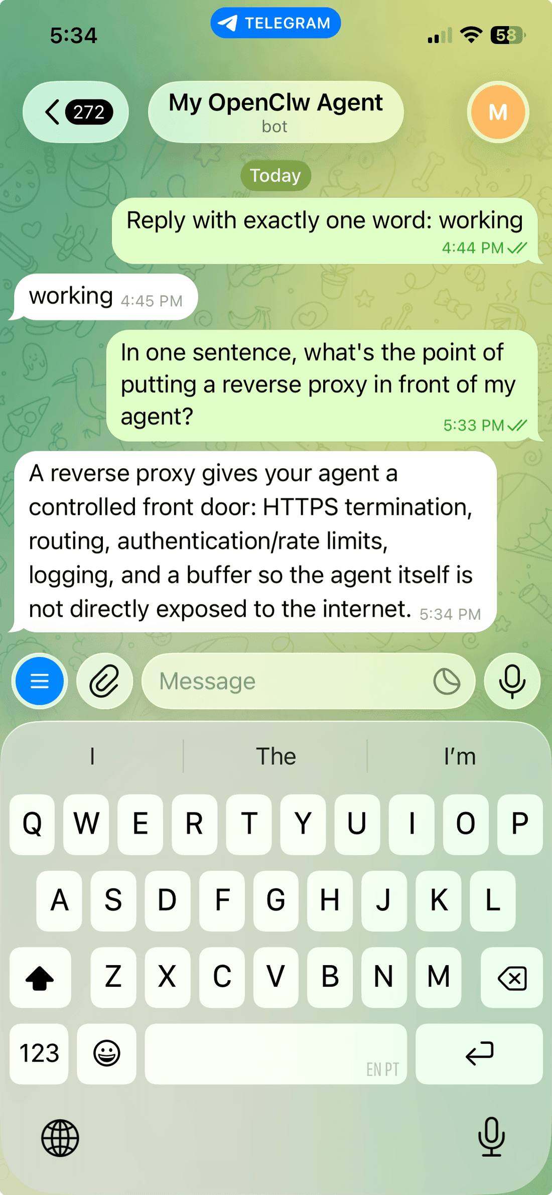 The agent replying conversationally over Telegram