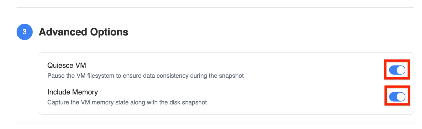 Advanced Options with filesystem pause and memory capture toggles
