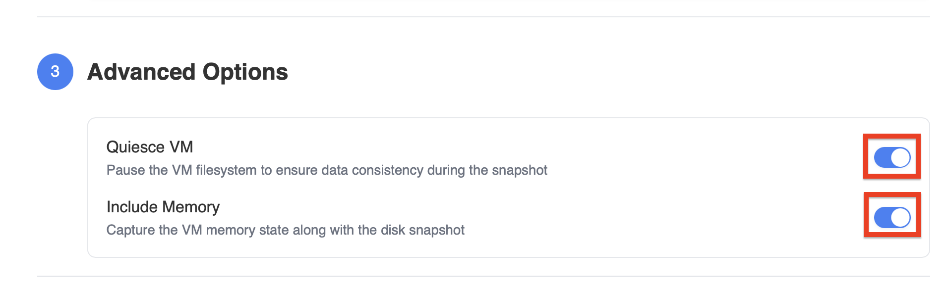 Advanced Options with filesystem pause and memory capture toggles