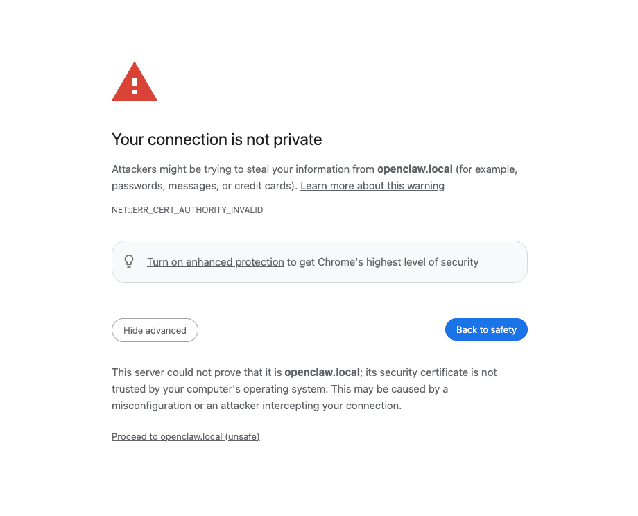 Advertencia de certificado del navegador — clic en Avanzado, luego Continuar