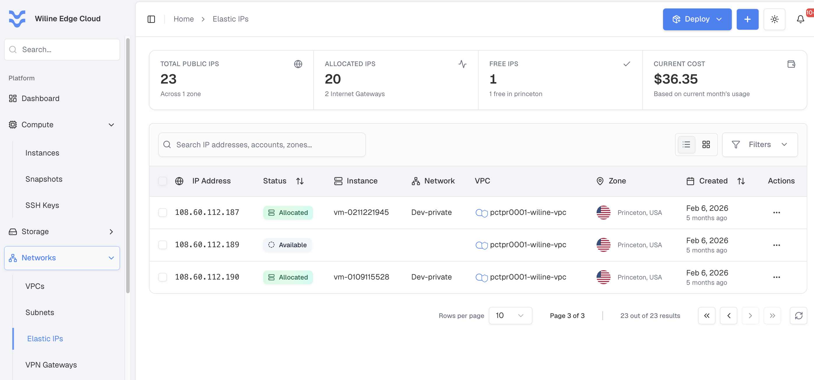 Una Elastic IP disponible en Networks → Elastic IPs