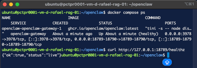 docker compose ps en estado healthy y la respuesta JSON de healthz